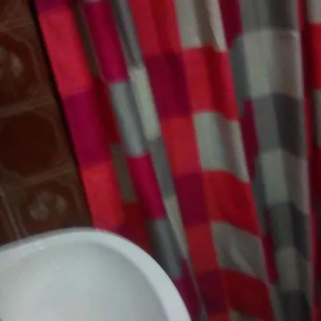 ゲストハウス Ilona Vendeghaz