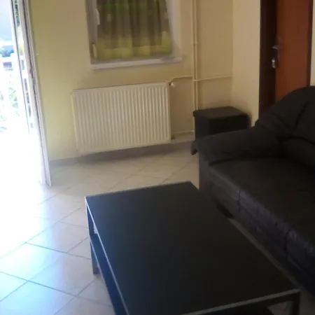 ゲストハウス Ilona Vendeghaz *