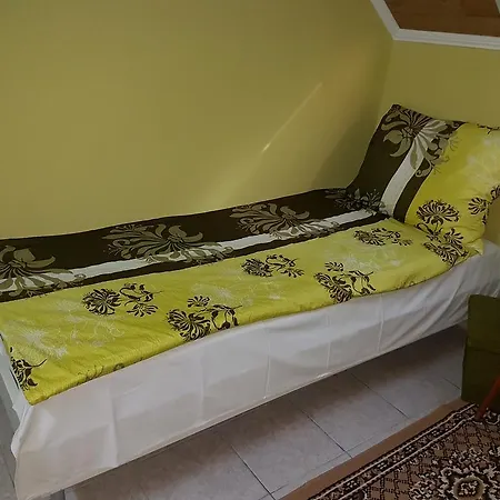 ゲストハウス Ilona Vendeghaz