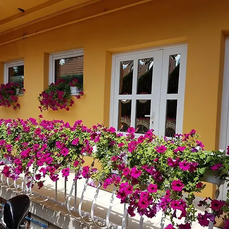 ゲストハウス Ilona Vendeghaz シオーフォク